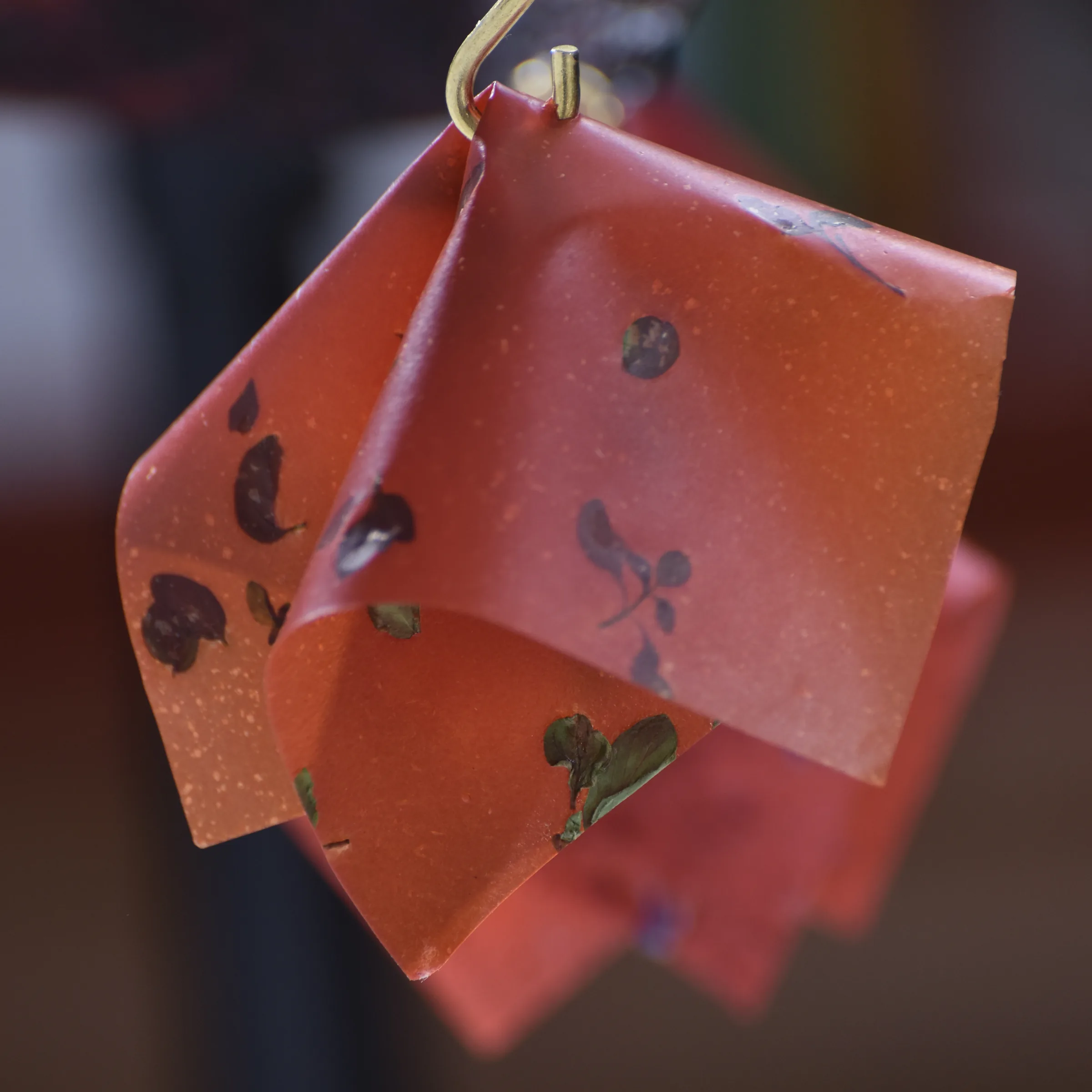 Cuir de tomate et origan posé à plat