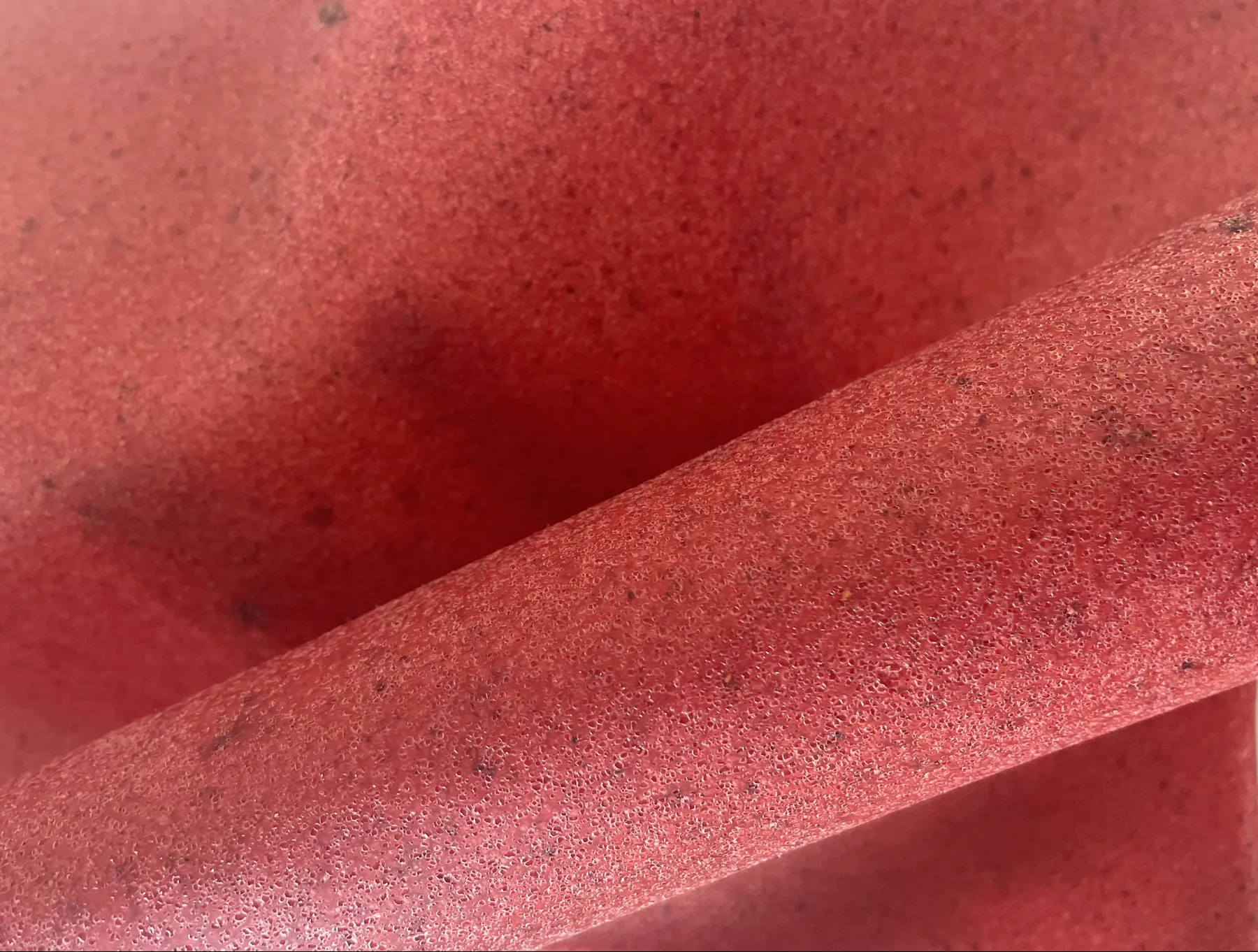 Feuilles de cuir de fruit