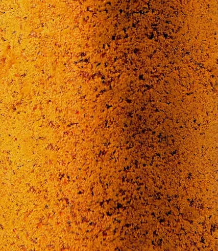 Poudres de fruits et de plantes